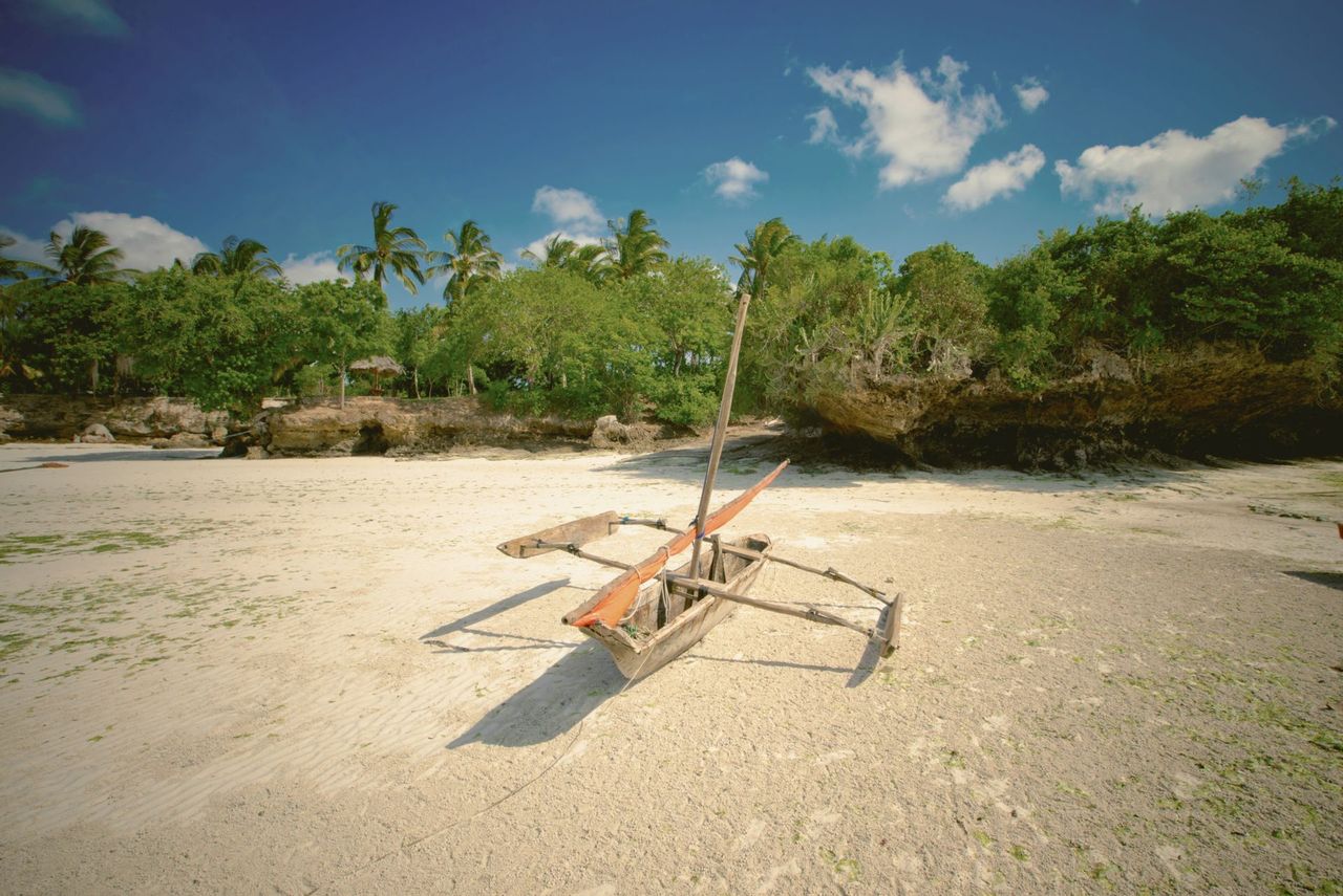 Outrigger canoe on a white-sand beach fringed with palms